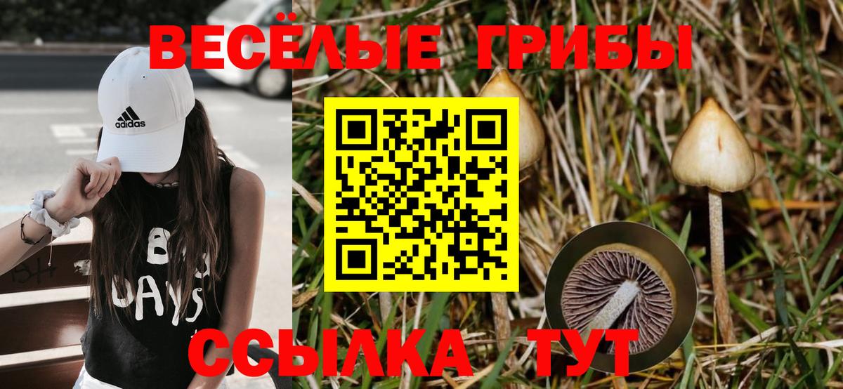 Галлюциногенные грибы GOLDEN TEACHER Полевской